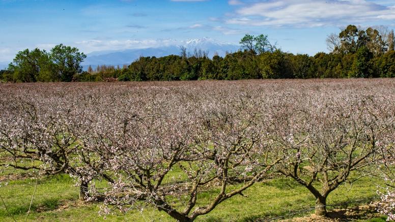 C'est le printemps samedi !