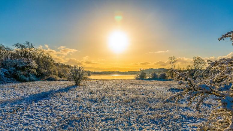 Retour des gelées en fin de semaine : jusqu’à -5°C en plaine ce week-end