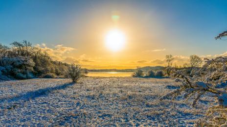 Retour des gelées en fin de semaine : jusqu’à -5°C en plaine ce week-end