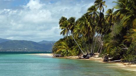 Vieques, Porto Rico : L’île sauvage des Caraïbes qui fascine les voyageurs