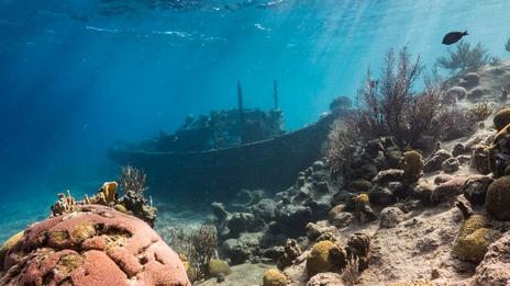 Le sabordage : de l’auto-destruction à la préservation des récifs artificiels