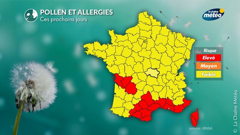 Pollens et allergies : les conditions s'améliorent un peu ces prochains jours