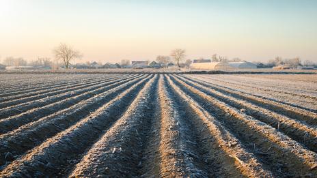 Retour du gel : quels risques pour l'arboriculture ces prochains jours ?