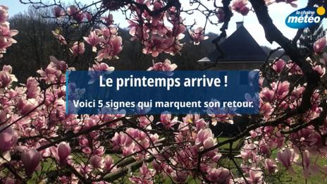 Les cinq signes de l'arrivée du printemps en France