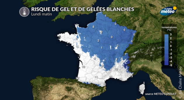 Risque de gel et de gelée blanche lundi matin Actualités France