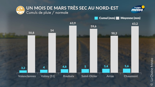 Important déficit de pluie en mars 2025 au nord-est Actualités France