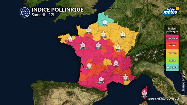 Pollens Et Allergies