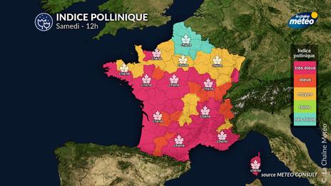 Bulletin pollinique samedi 3 mai : vers une diminution progressive du risque avec les orages et un temps plus frais