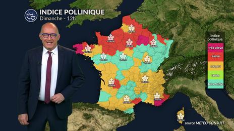 Bulletin pollinique dimanche 4 mai : vers une diminution du risque au sud avec les orages
