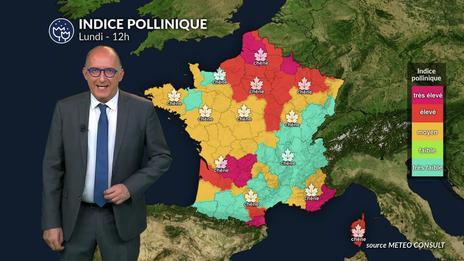 Bulletin pollinique lundi 5 mai : vers une diminution du risque au sud avec les orages