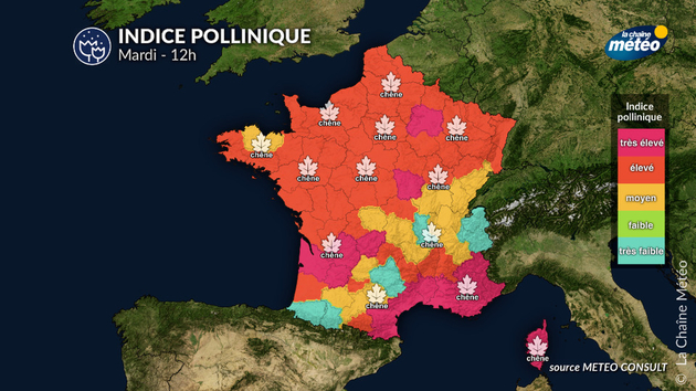 Pollens Et Allergies