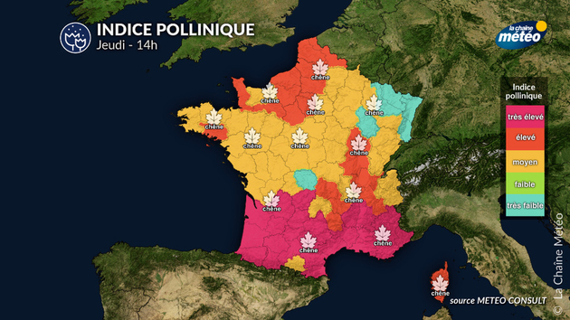 Pollens Et Allergies