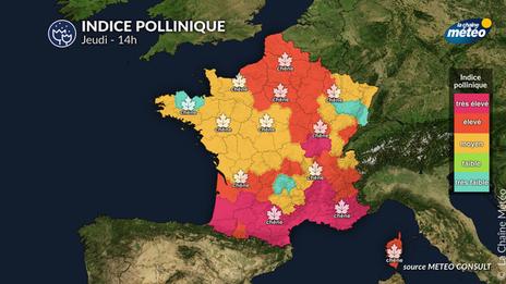 Bulletin allergo-pollinique du jeudi 8 mai : vigilance au centre et en Méditerranée malgré une météo peu propice à la dispersion
