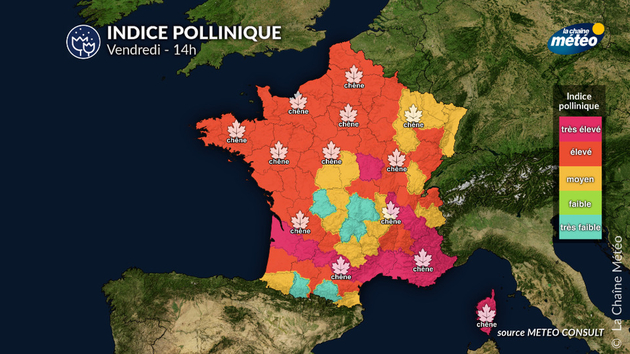 Pollens Et Allergies
