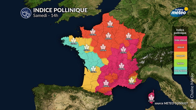 Pollens Et Allergies