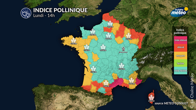 Pollens Et Allergies