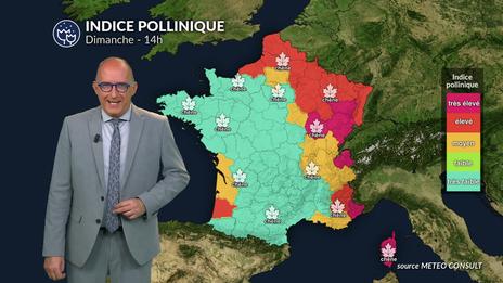 Bulletin allergo-pollinique du dimanche 11 mai : amélioration générale sur le front des pollens grâce aux pluies et aux orages
