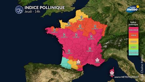 Bulletin allergo-pollinique du jeudi 15 mai : risque allergique élevé dans le sud-est malgré un net rafraîchissement au nord