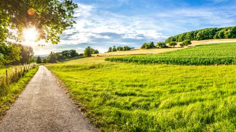 Temps printanier jusqu'à lundi sur toute la France