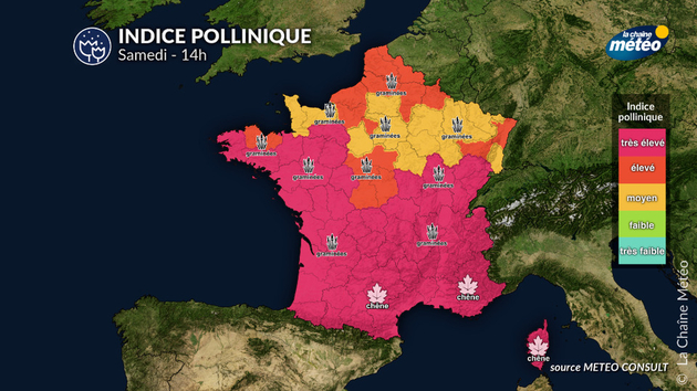 Pollens Et Allergies