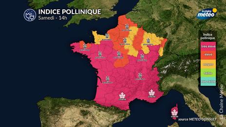 Bulletin allergo-pollinique du samedi 17 mai : risque allergique élevé sur une grande partie du pays sous un temps printanier