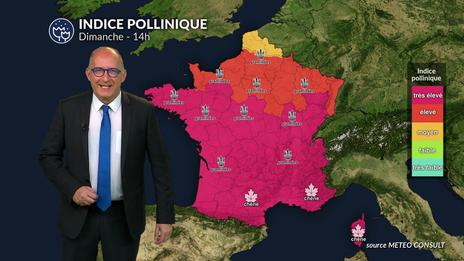 Bulletin allergo-pollinique du dimanche 18 mai : un dimanche lumineux mais très actif pour certains pollens