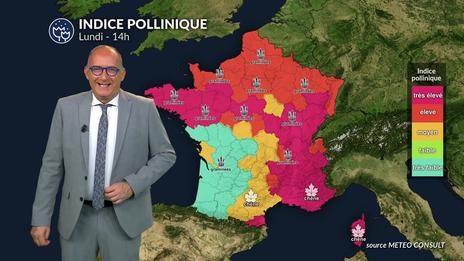 Bulletin allergo-pollinique du lundi 19 mai  : amélioration au sud grâce aux pluies et aux orages