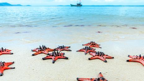 Ne vous faites pas avoir par cette plage “paradisiaque”