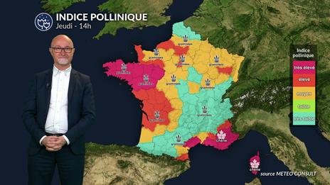 Bulletin allergo-pollinique du jeudi 22 mai : les graminées, principal risque allergique du moment