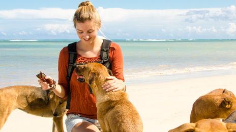 Câliner des chiens toute la journée sur une plage paradisiaque...