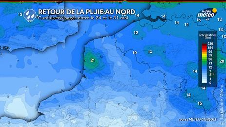 Hauts-de-France : un retour timide de la pluie qui ne suffit pas à enrayer la sécheresse