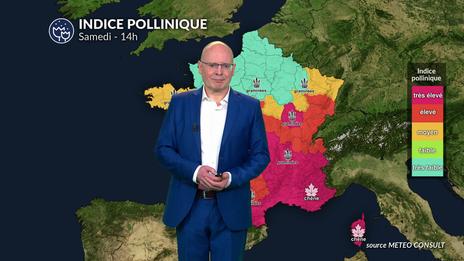 Bulletin allergo-pollinique du samedi 24 mai