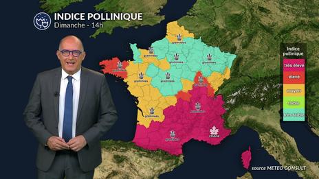 Bulletin allergo-pollinique du dimanche 25 mai  : pic de graminées au sud, répit au nord grâce à la pluie