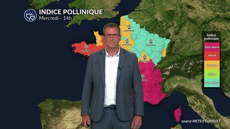 Bulletin allergo-pollinique du mercredi 28 mai : risque allergique en nette hausse au sud, répit passager au nord avant un long week-end sous haute vigilance