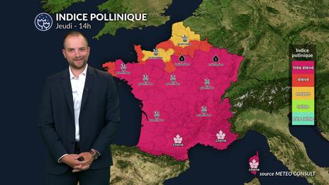 Bulletin allergo-pollinique du vendredi 30 mai : les graminées explosent sous le soleil !