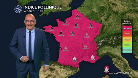 Bulletin allergo-pollinique du vendredi 30 mai : les graminées explosent sous un soleil torride !