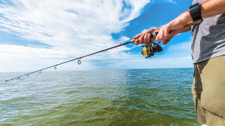 Tout savoir sur la pêche du bar en Atlantique : techniques, saisons et réglementation