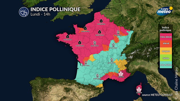 Pollens Et Allergies