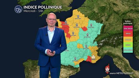 Bulletin allergo-pollinique du mercredi 4 juin : risque pollinique élevé sur fond d’orages avec des pollens de graminées qui dominent