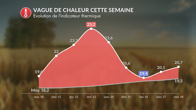 Le pic de cette vague de chaleur est attendu ce vendredi 13 Actualités France