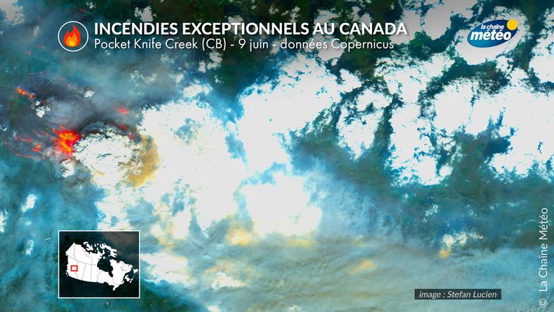 Plus de 3 millions d'hectares partis en fumée : les incendies exceptionnels du Canada font tousser l'Europe