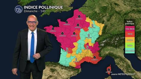 Bulletin allergo-pollinique du dimanche 15 juin : vigilance aux pollens malgré les orages et le rafraîchissement