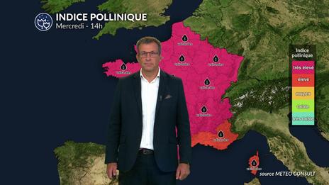 Bulletin allergo-pollinique du mercredi  18 juin : chaleur et risques importants liés aux pollens de graminées