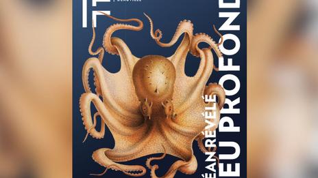 Bleu profond : l’océan révélé en grand format aux Franciscaines