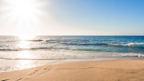 Canicule marine : les effets alarmants de la chaleur sur la vie sous-marine