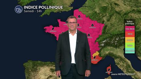 Bulletin allergo-pollinique du samedi 21 juin : chaleur, musique et graminées