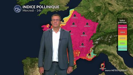 Bulletin allergo-pollinique du mercredi 2 juillet : canicule et pollens, un cocktail gênant pour les allergiques