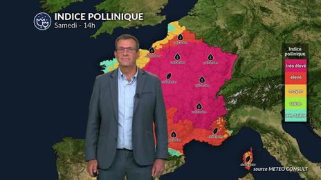 Bulletin allergo-pollinique du samedi 5 juillet : risque élevé pour les allergiques ce week-end