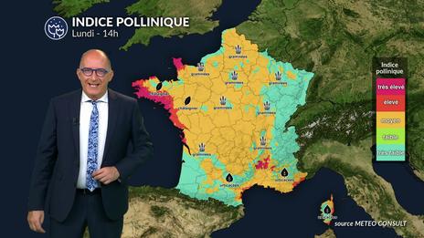 Bulletin allergo-pollinique du lundi 7 juillet : risque allergique faible grâce aux pluies et à la fraîcheur