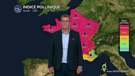 Bulletin allergo-pollinique pour le jeudi 10 juillet